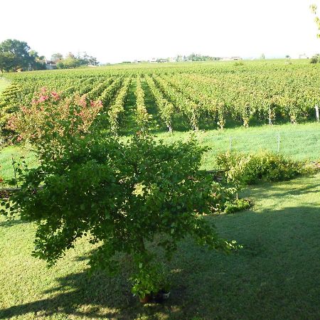 Le Clos Des Rosiers Σεντ Εμιλιόν Εξωτερικό φωτογραφία