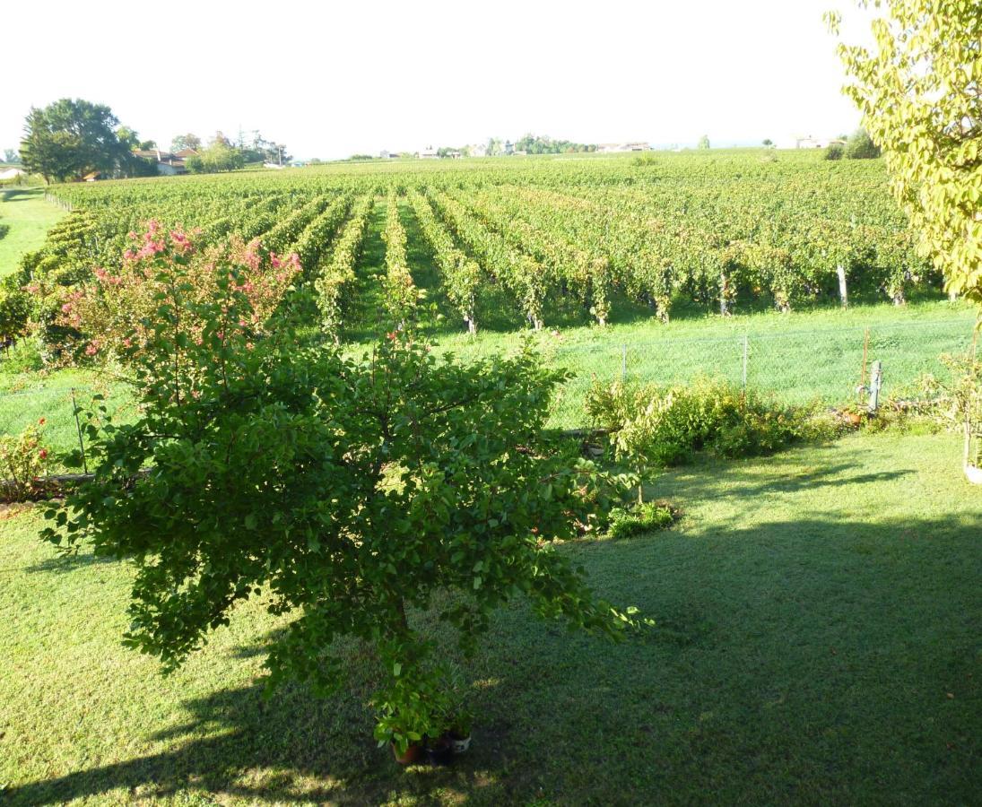 Le Clos Des Rosiers Σεντ Εμιλιόν Εξωτερικό φωτογραφία