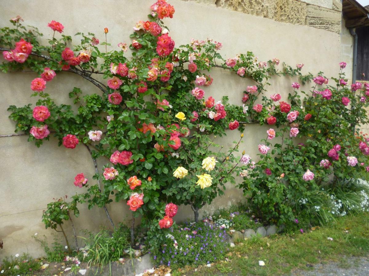 Le Clos Des Rosiers Σεντ Εμιλιόν Εξωτερικό φωτογραφία
